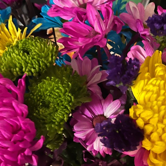 Meet your Posher, Vanessa - Picture 1 of 1